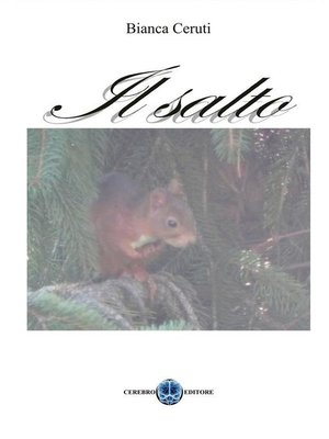 cover image of IL SALTO